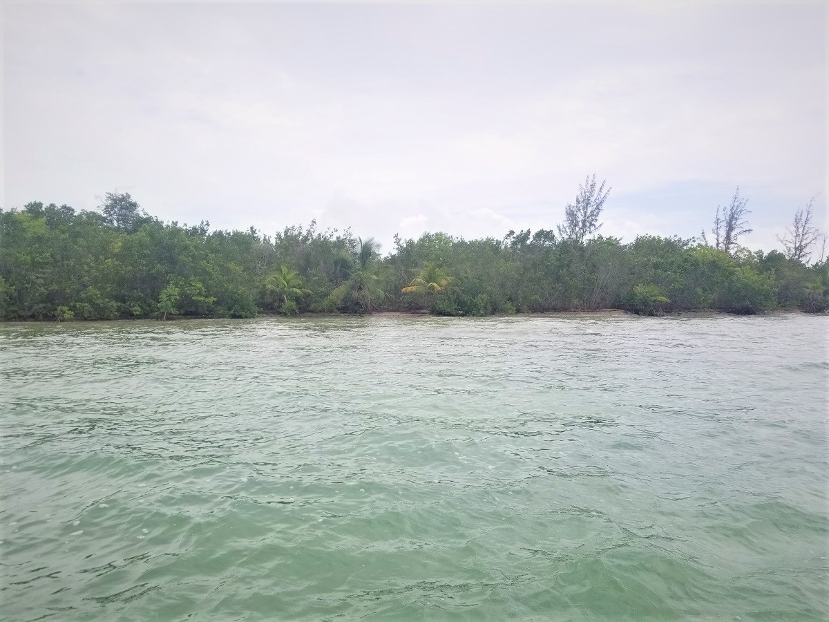 1.5 acres sea front lot in Warrie Bight