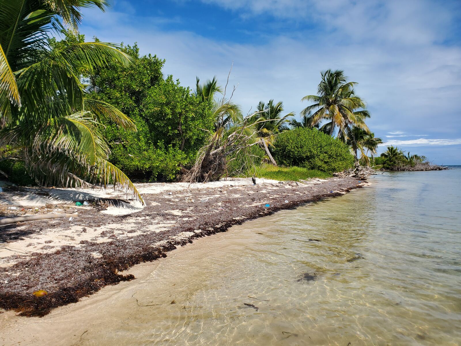 2 large seafront lots on Long Caye