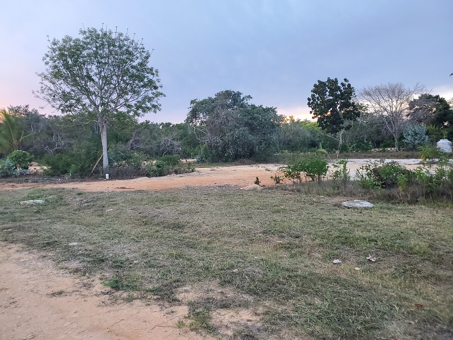 Residential Lot for Sale in Orchid Bay