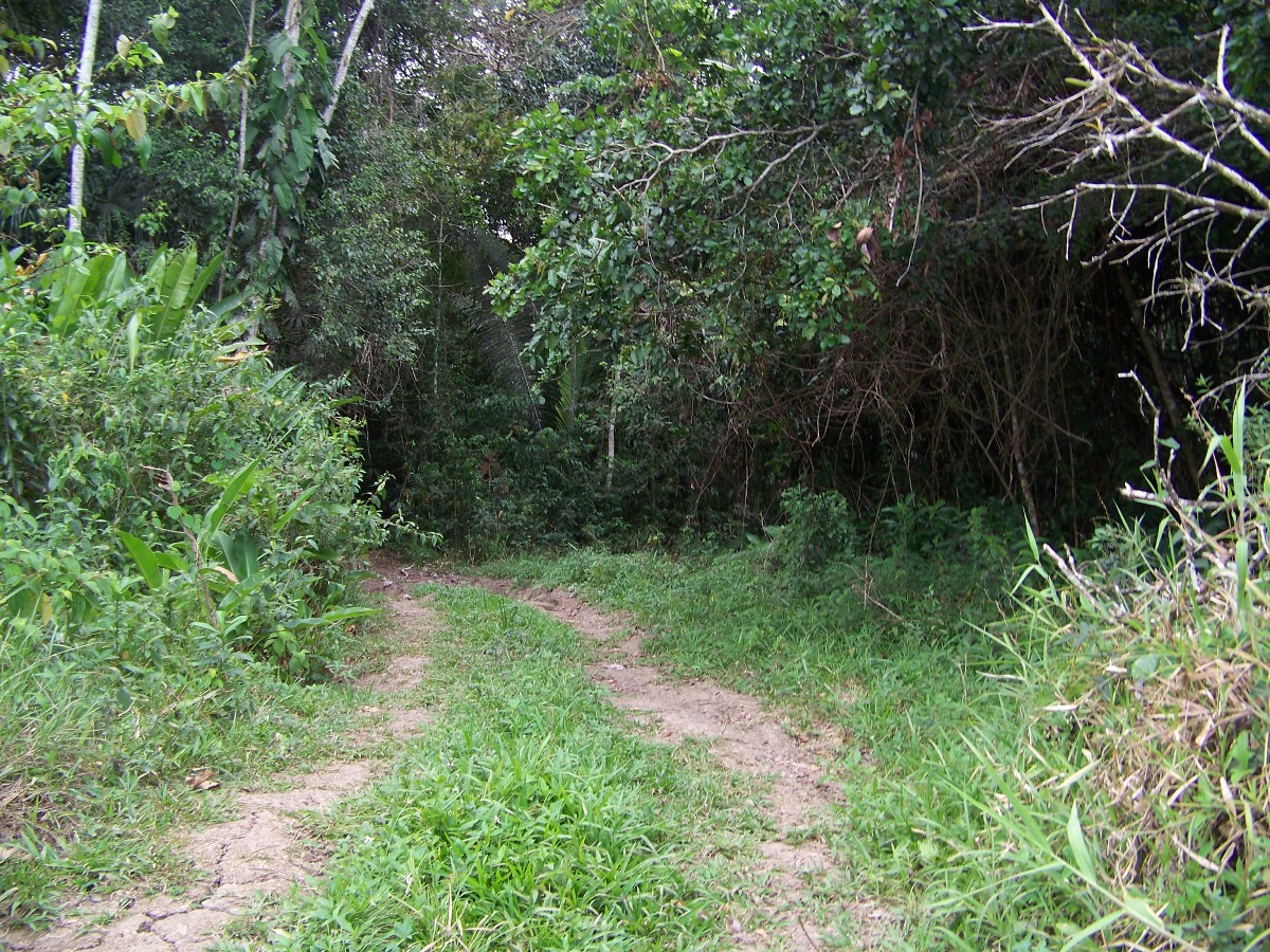 28 Acres of Land for Sale in Cayo