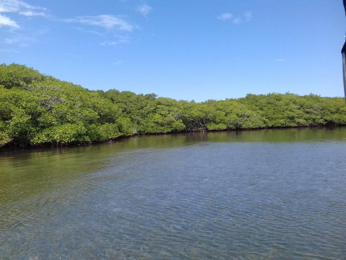 5 acres of beautiful Southern Long Caye