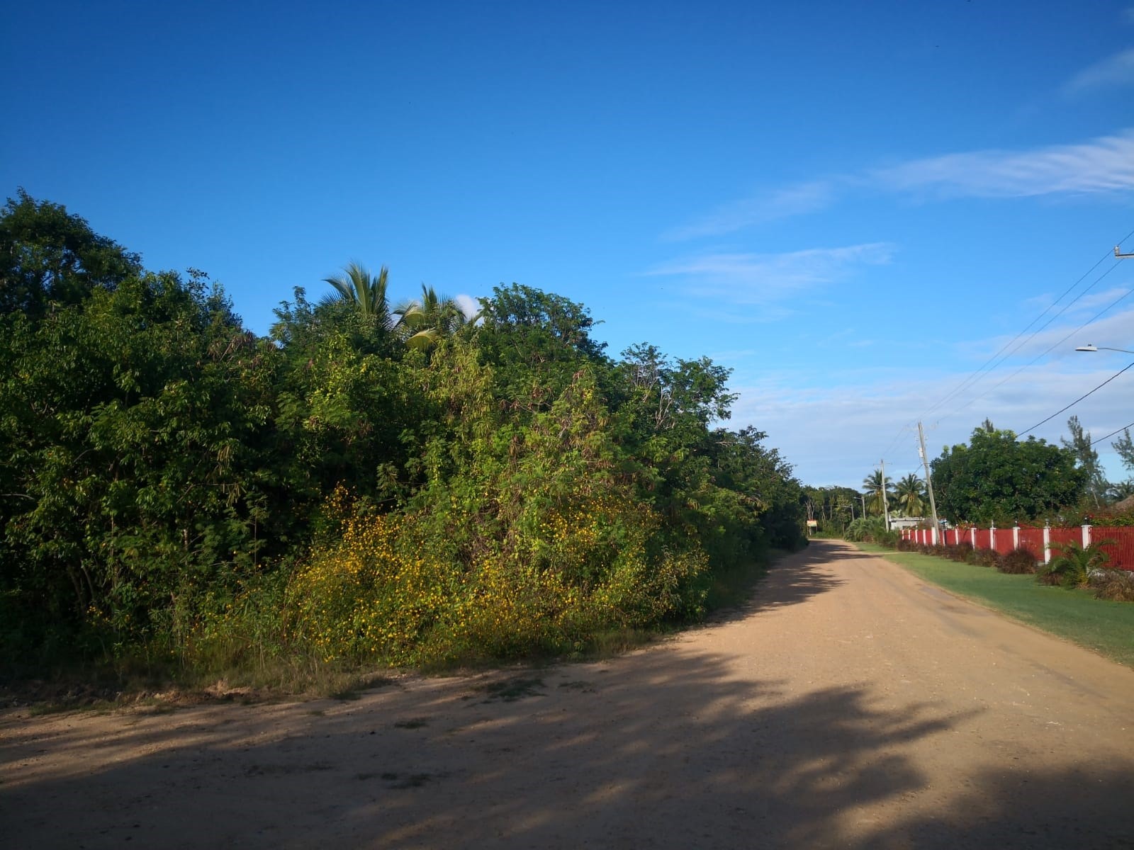 1/2 Acre Residential/Commercial lot in Finca Solana Corozal