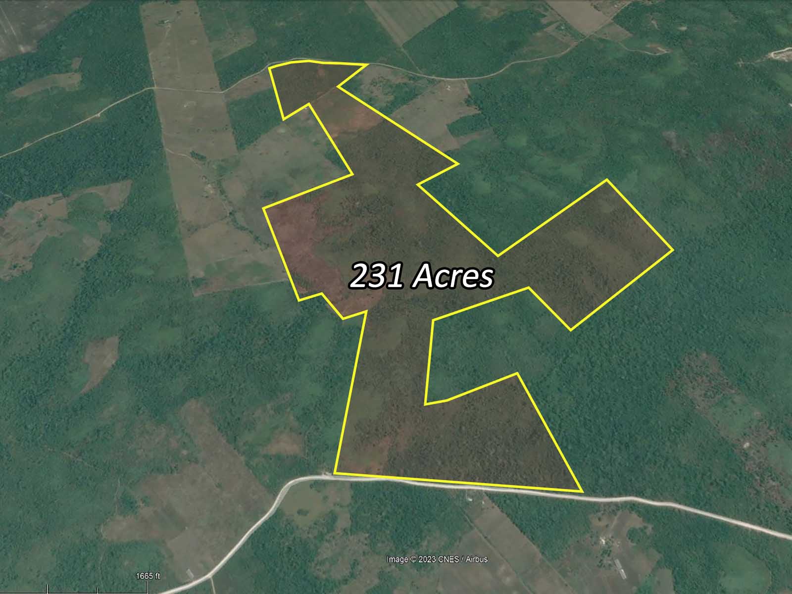 231 Acre Farm Land in Young Gial Area for sale in Belize
