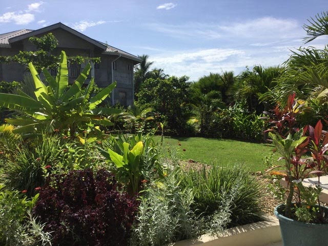 Beautiful Income earning home in Hopkins