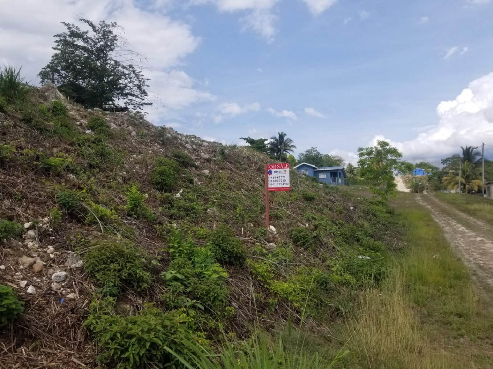 Two large residential lots for Sale in Benque Viejo,