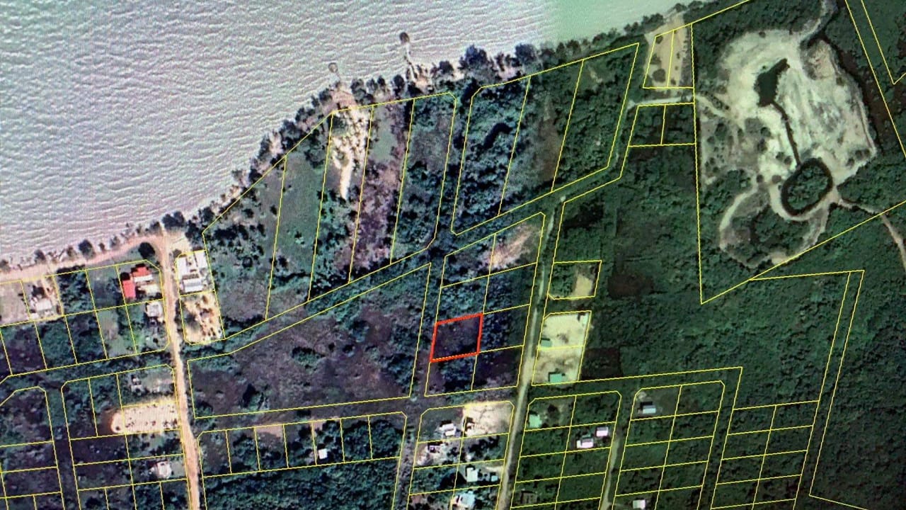 Lot for Sale in Sarteneja