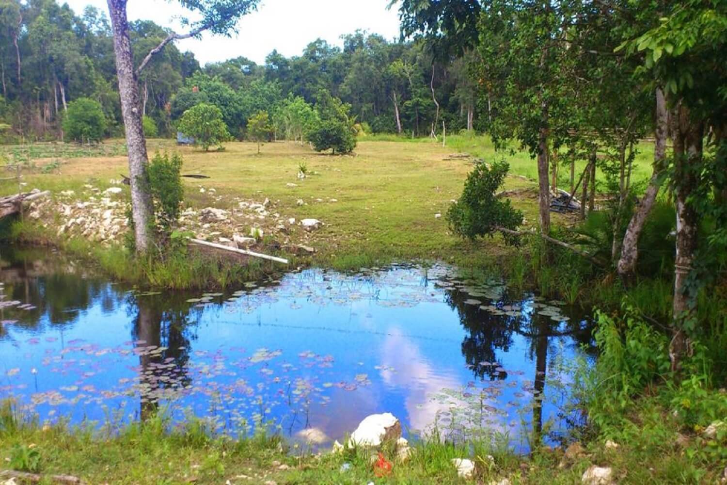 10 acres property in Sandhill, Belize District