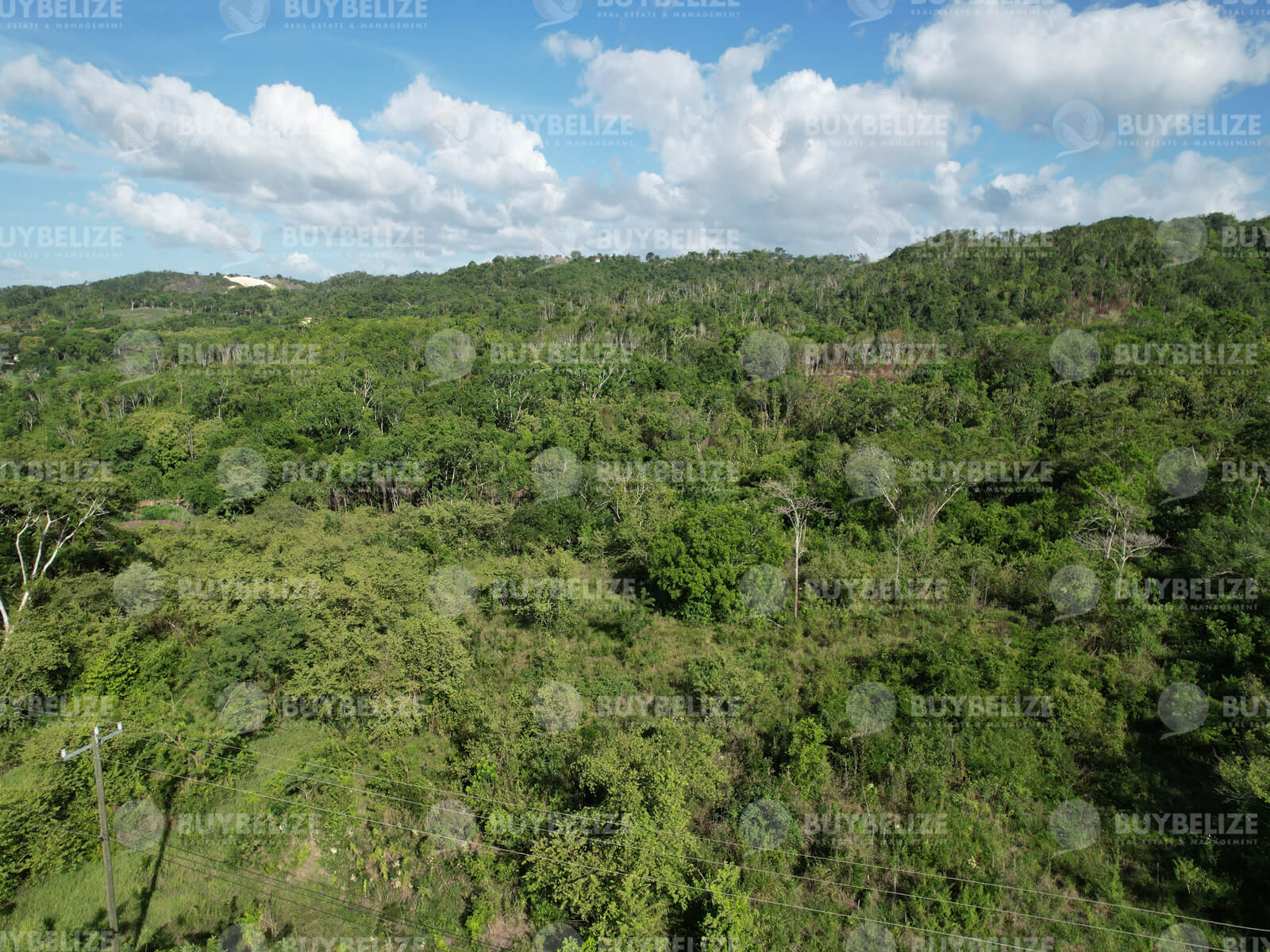 118 acres in Unitedville, Cayo District