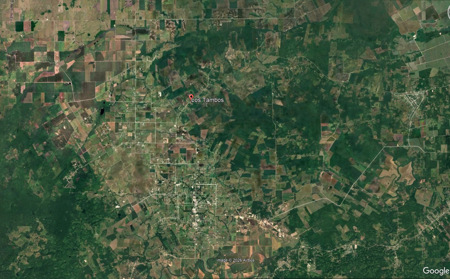 149 acres Farmland in Los Tambos Cayo District