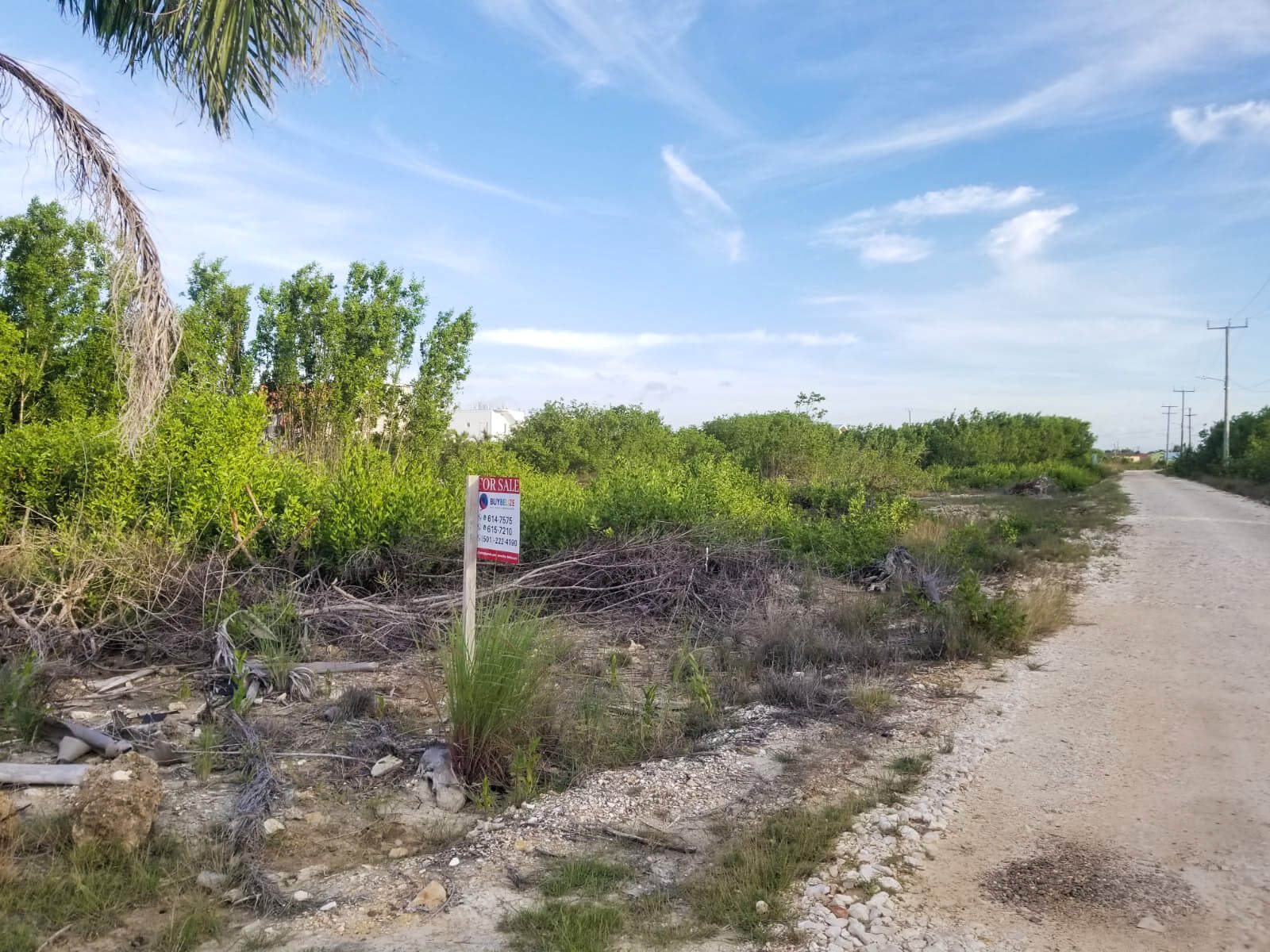 Large Canal Lot for Sale in Vista Del Mar