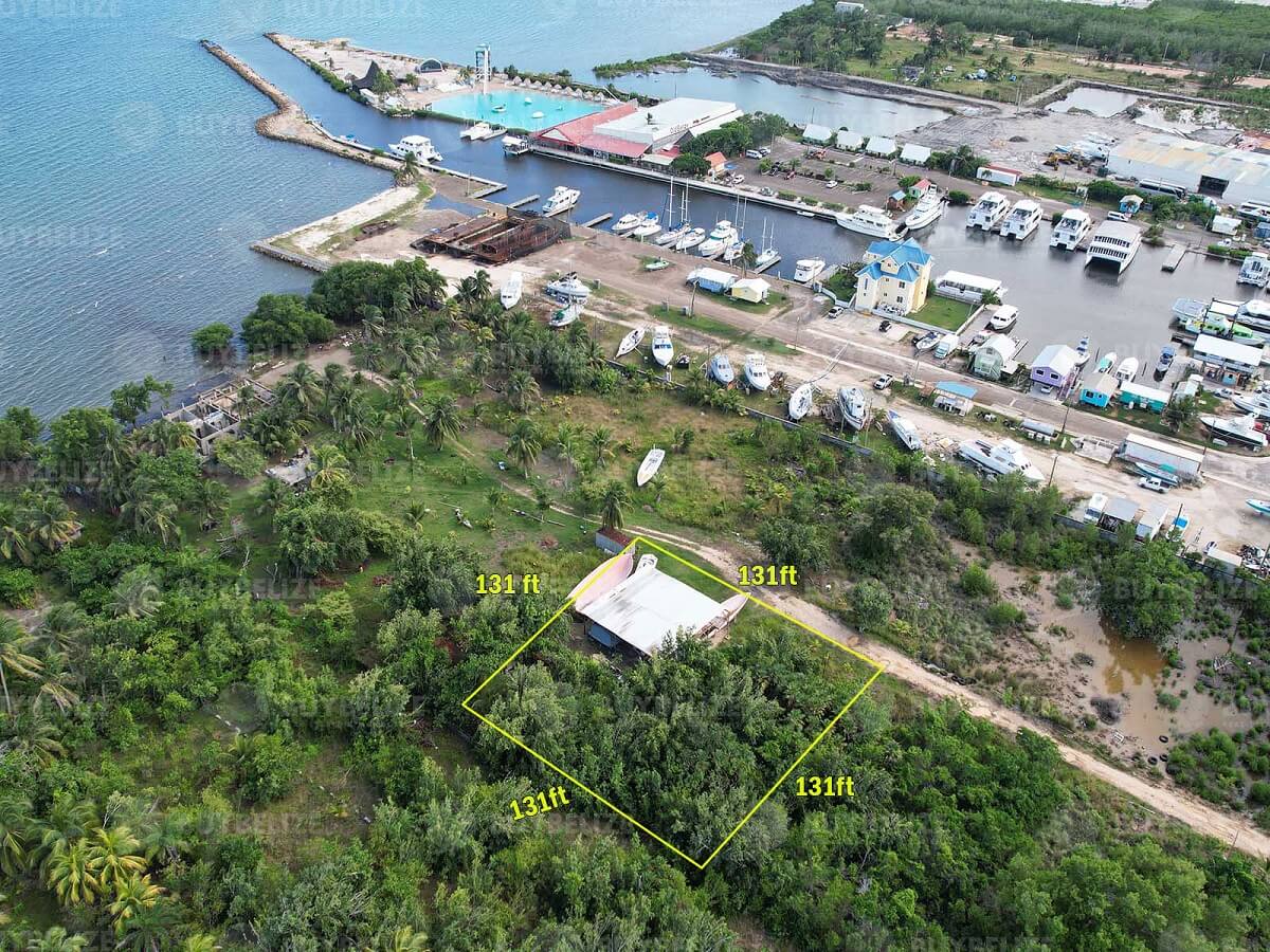 Lot for Sale on the George Price Highway
