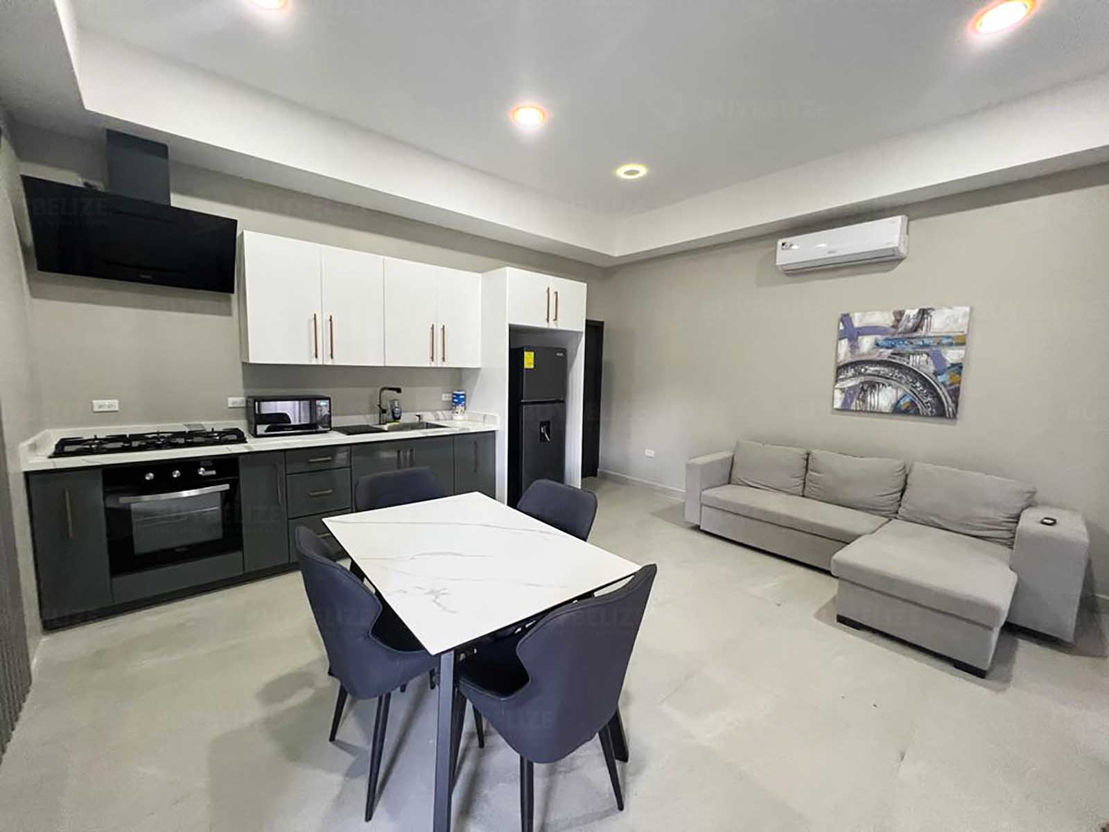 Modern 1 bed  1 bath Apartment for rent in Kings Park