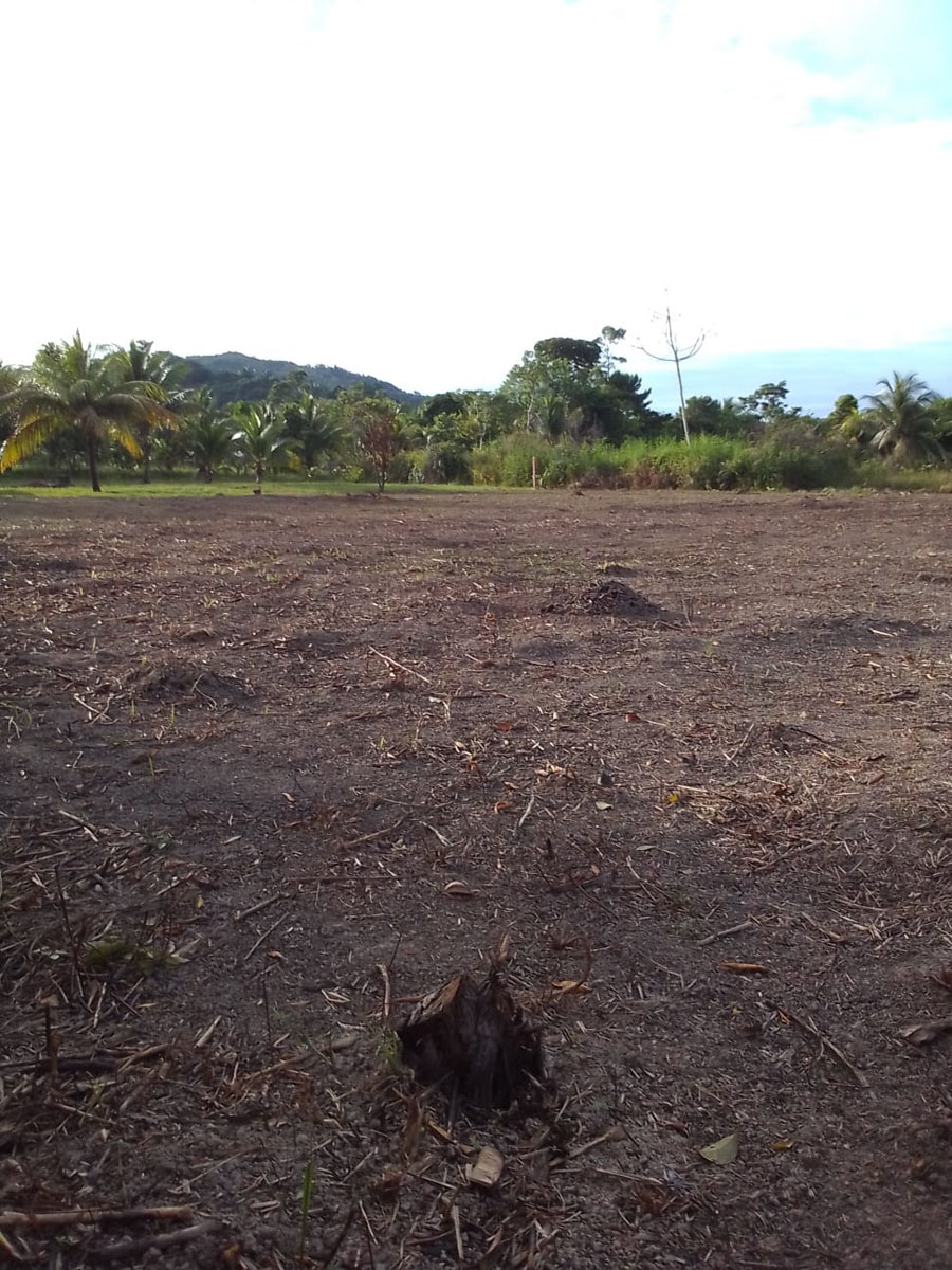 Two beautiful Residential lots for sale in Stann Creek Valley , Stann Creek District