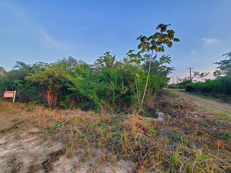 Large Residential Lot 100 ft x 125 ft for sale in Orchid Garden Extension