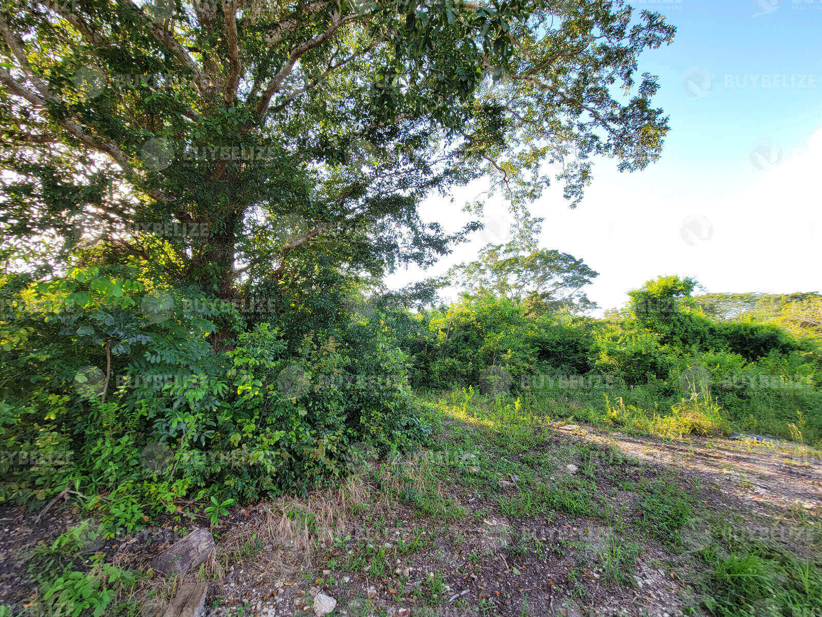 Residential Lot for Sale in San Ignacio Town