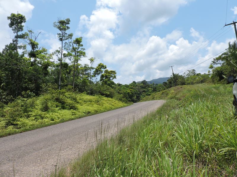 50-Acre Jungle Paradise with Hummingbird Highway Frontage