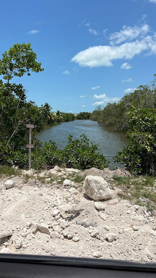 Beautiful Large Canal Lots with access to the bay of Corozal