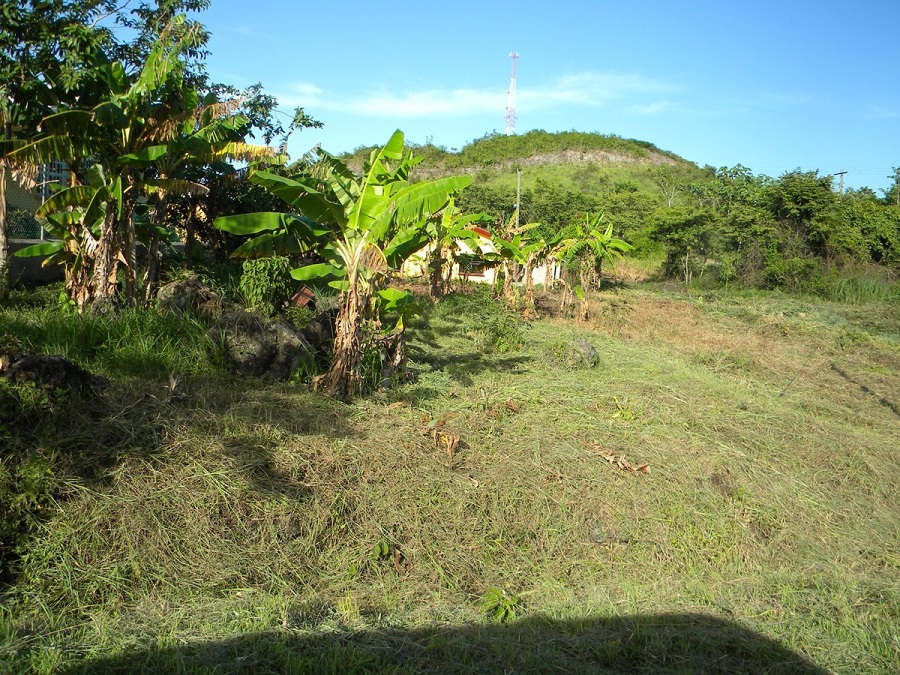 Lot 50 x 100 behind Intelco Tower