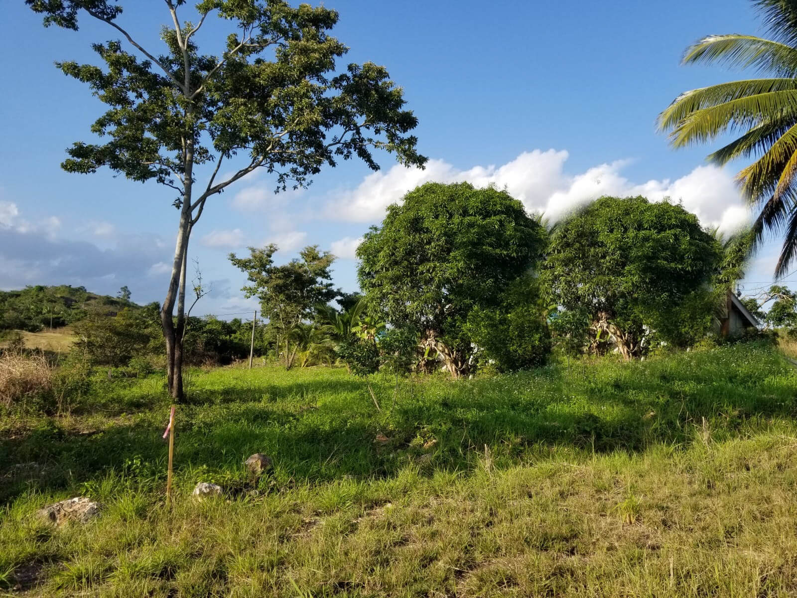 Two Residential Lots for Sale in Belmopan City