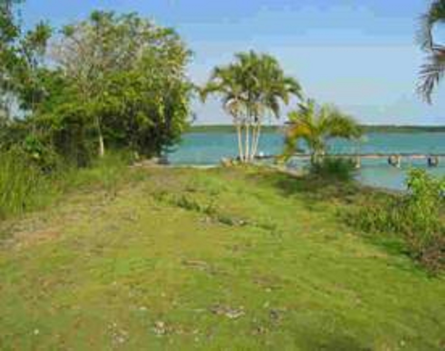 Drastically Reduced 4.16 Acres  Lagoon Frontage in Corozal