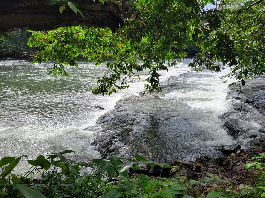 Riverside Investment in Toledo District