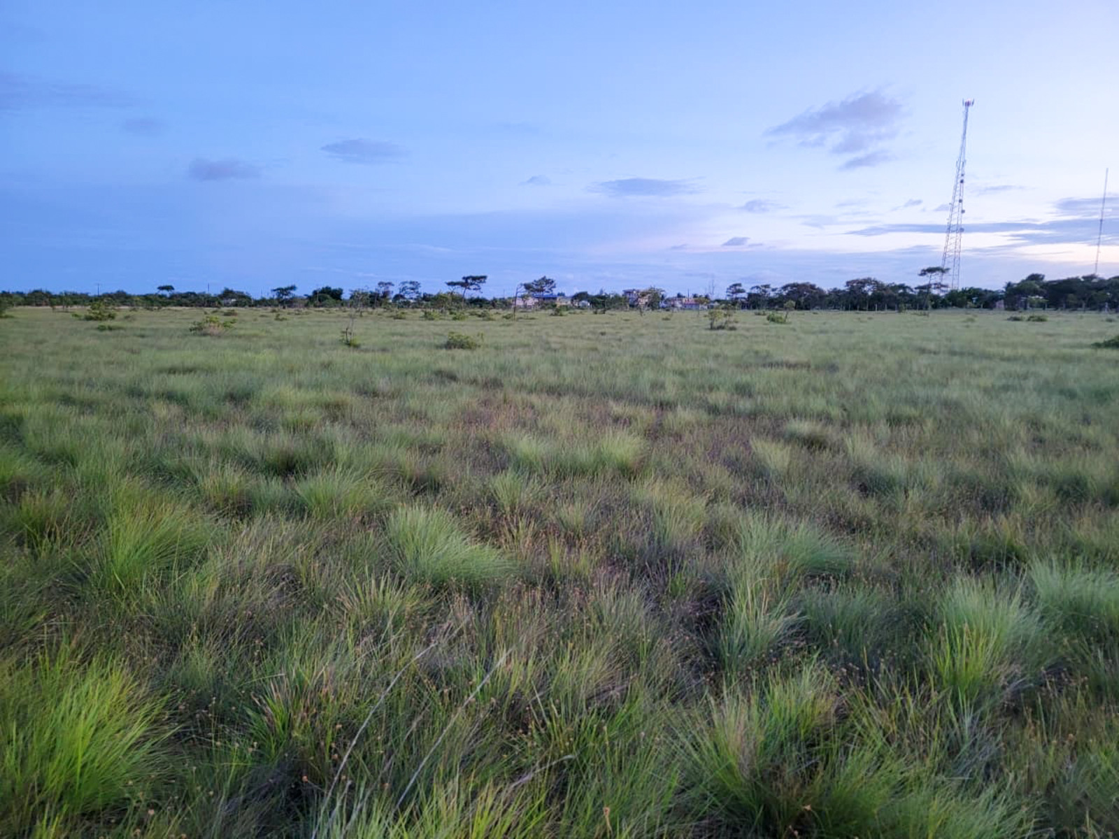 2.06 Acres of Prime Land in Independence Village, Stann Creek