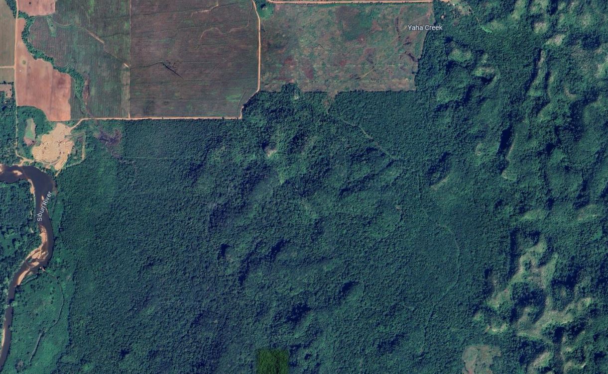 25.26 Acres of Pristine Creekfront Haven in Frank’s Eddy