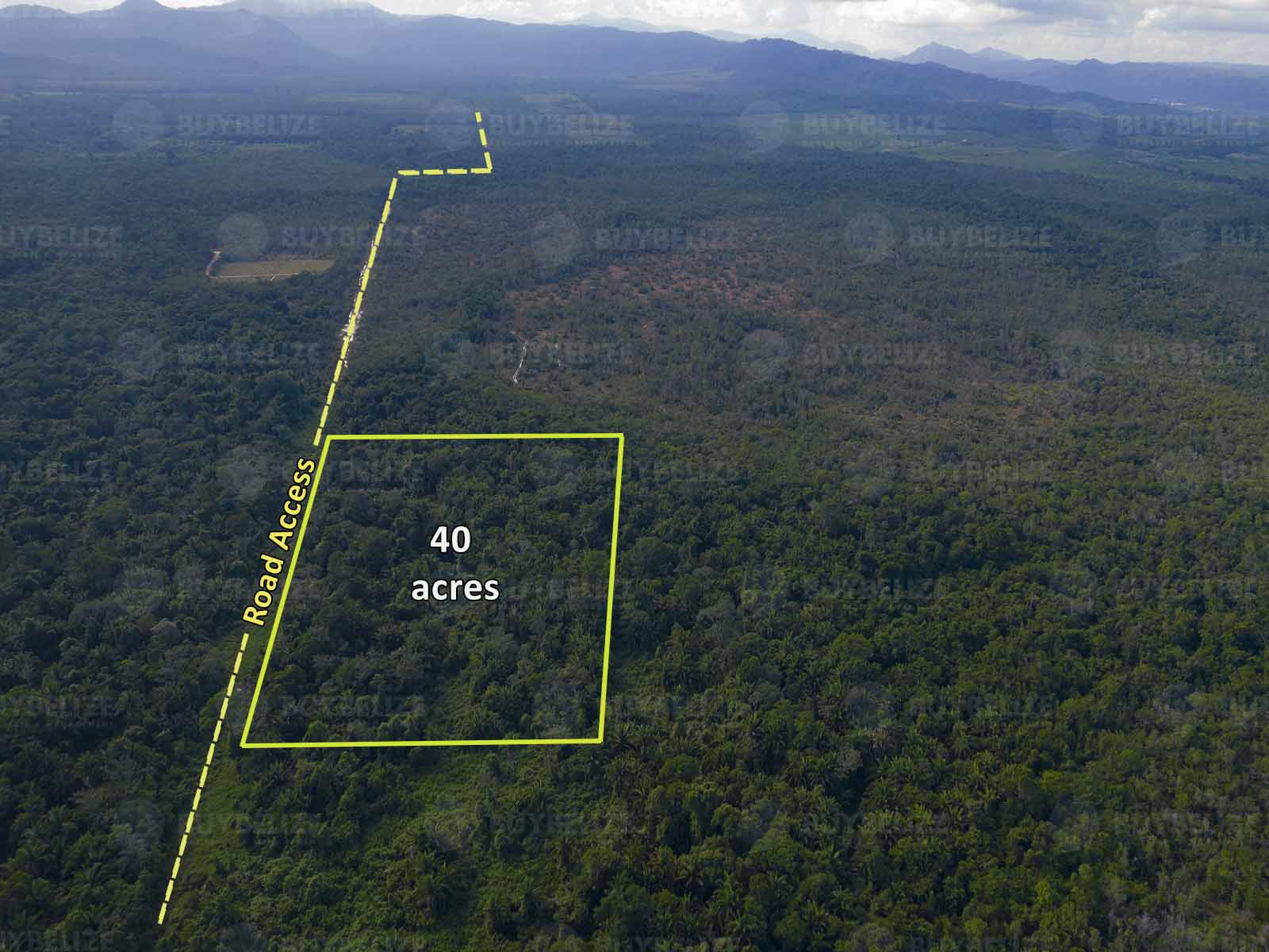 Beautiful 40 acres of Land for Sale