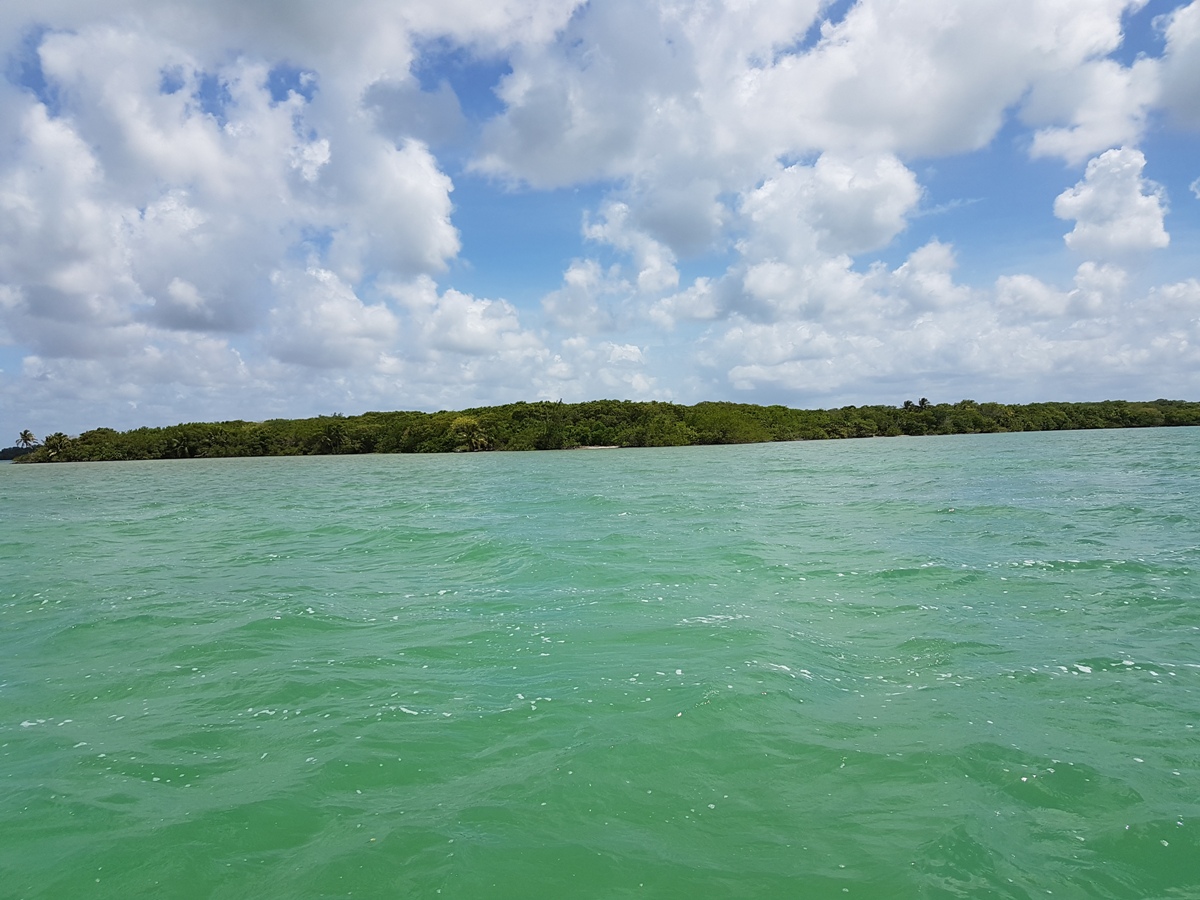 Beautiful 2 acre Bayfront Property in Warrie Bight Corozal