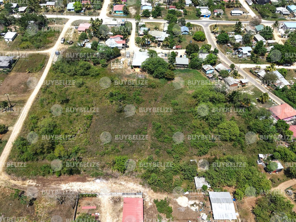 Large Development Lots for Sale in San Martin, Belmopan