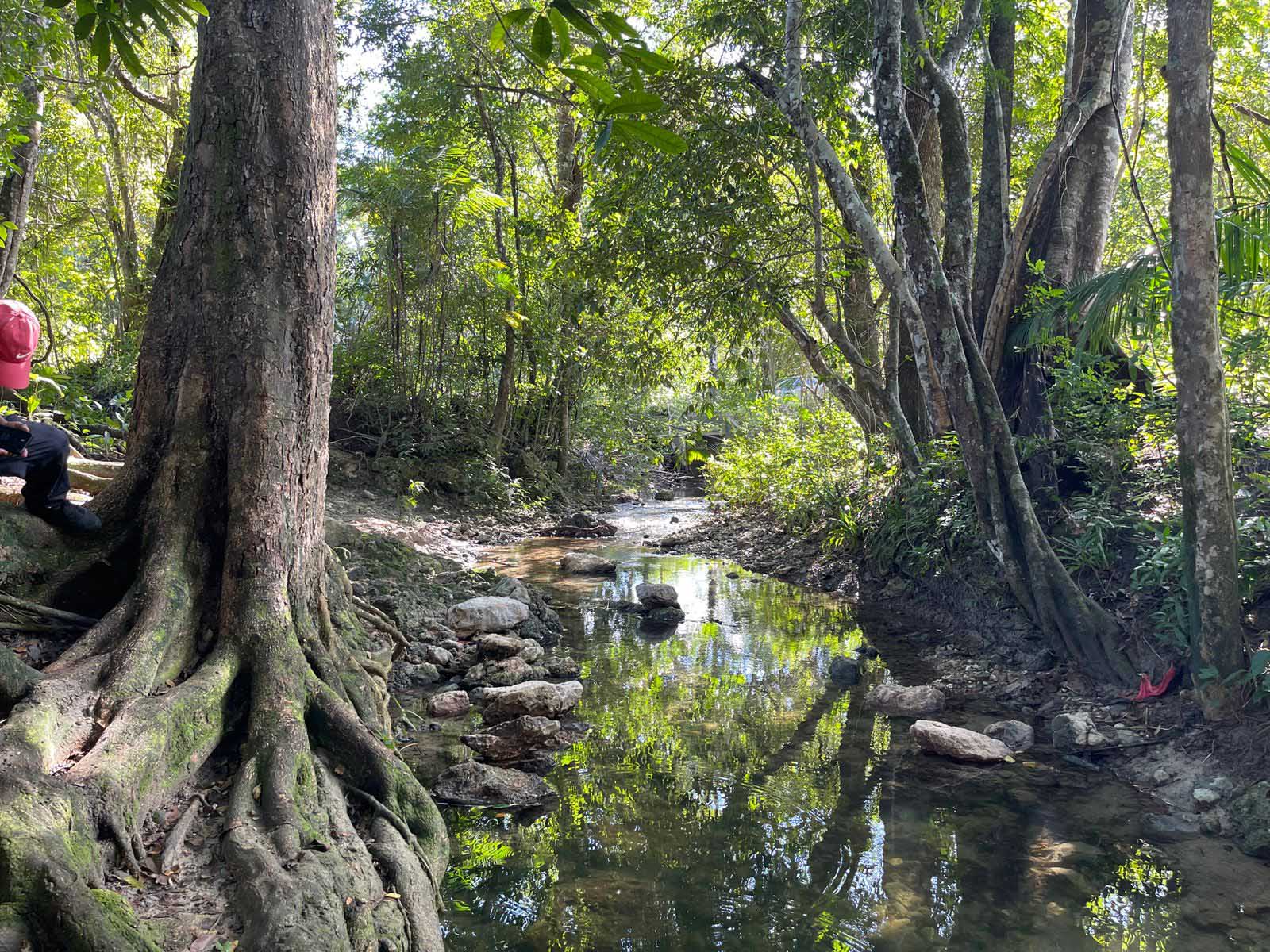 47 Acres of Unspoiled Natural Paradise – Valley of Peace, Cayo District, Belize