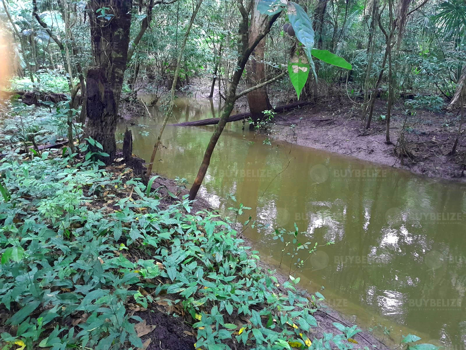 47 Acres of Fertile Farmland Near Spanish Lookout