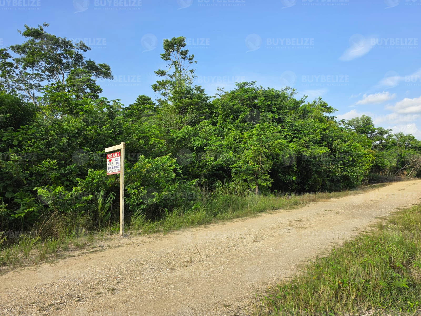 Residential Lot in Belmopan for sale