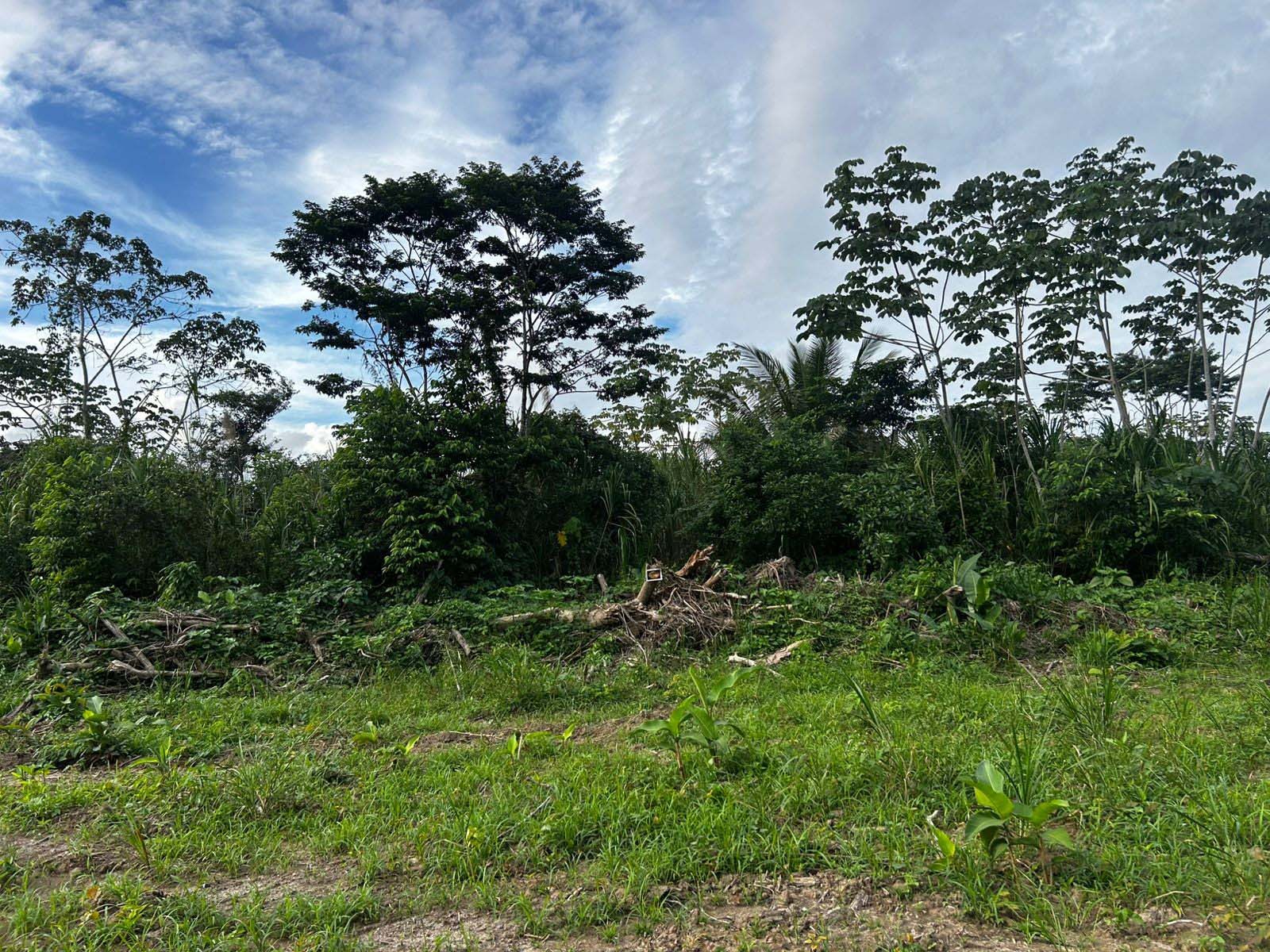 Spacious Corner Lot For Sale in Mullins River Area