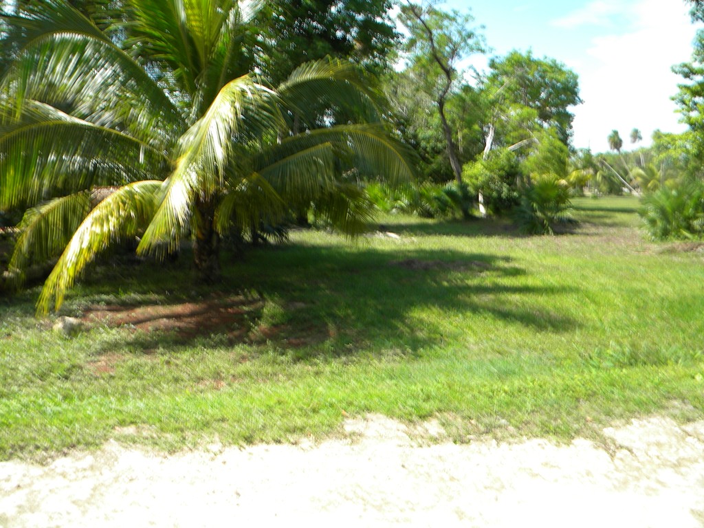1/4 Acre Property for Sale in Corozal