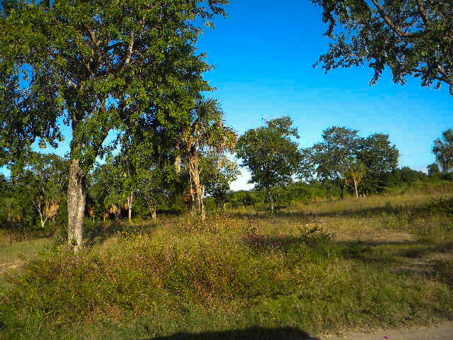 Land for Sale in Corozal Town