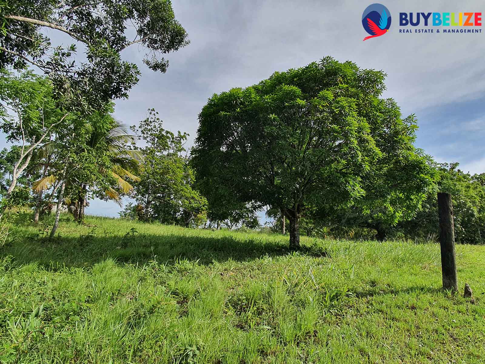 FORSALE 8.2 Acre Farm Land in Cayo Belize. Buy Belize