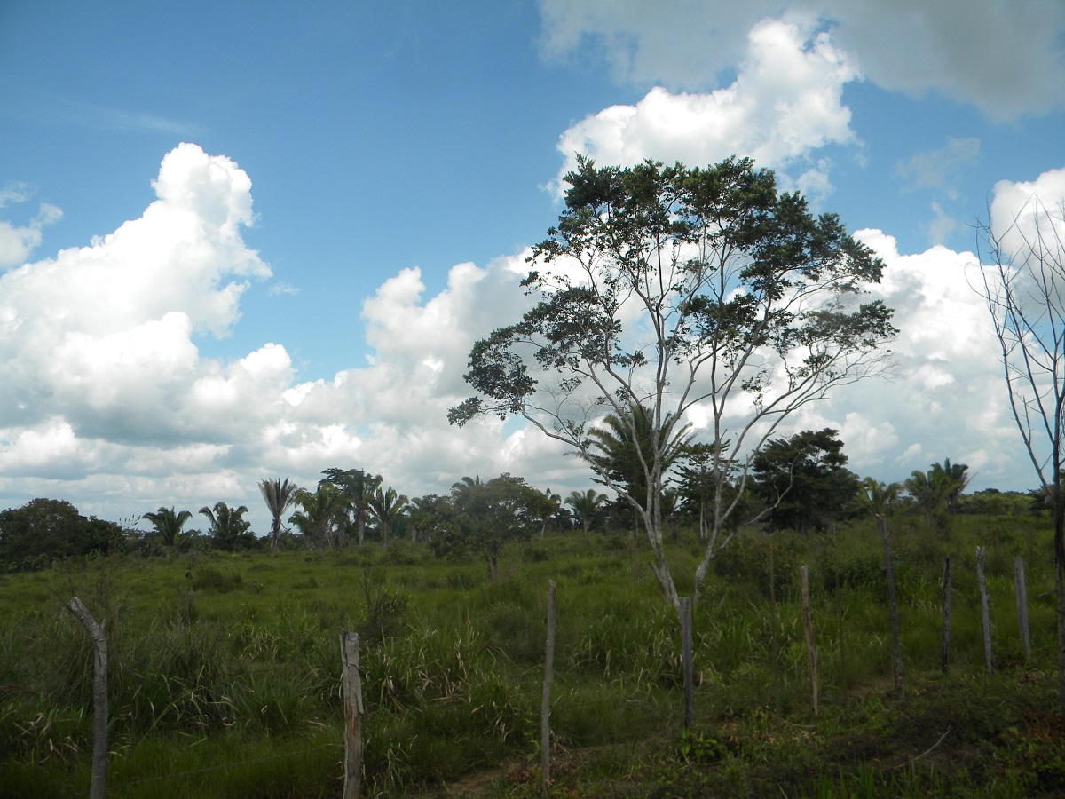 125  Acres in Toledo