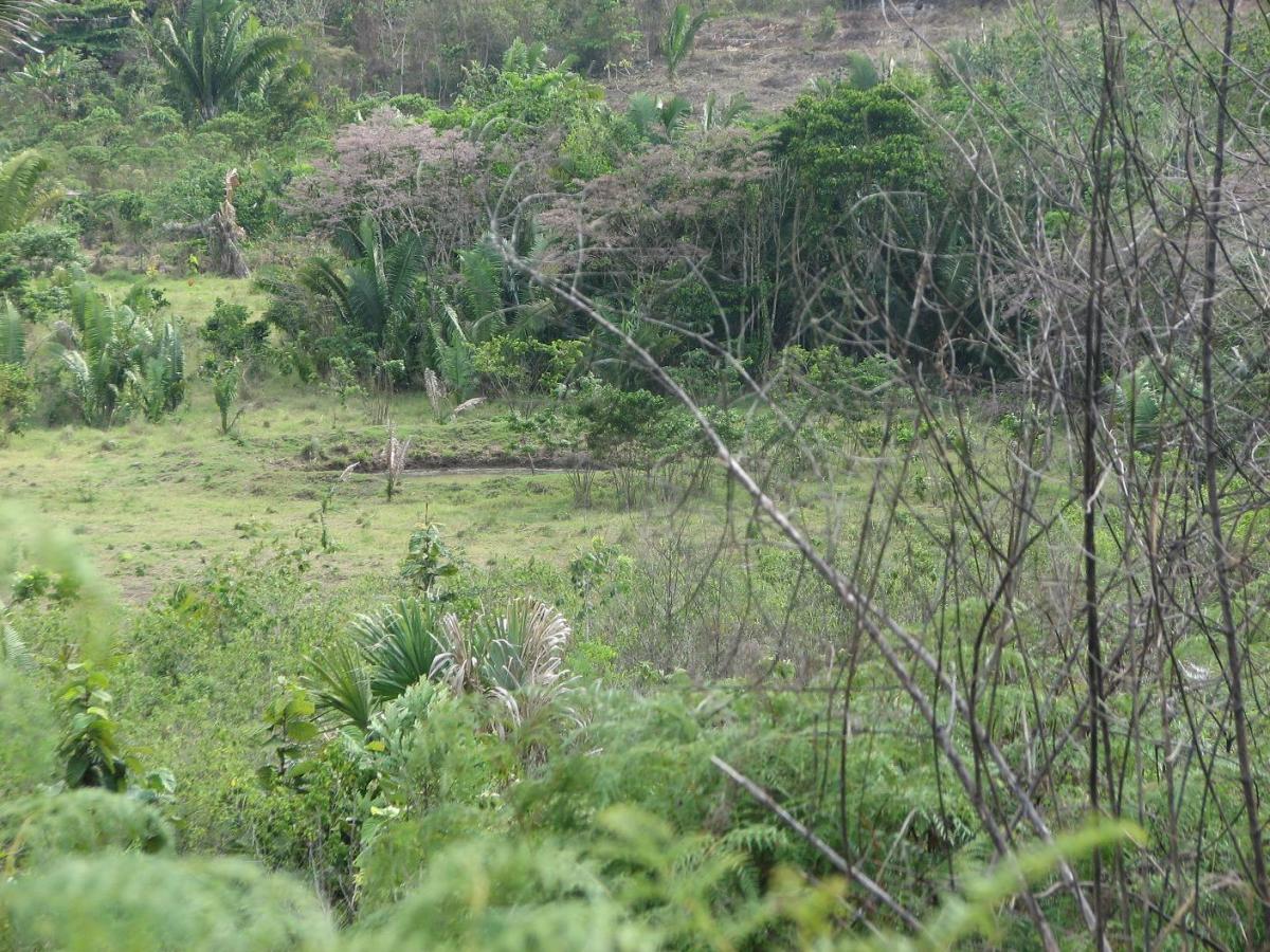 74.5 Acres in Cayo Buy Belize Real Estate