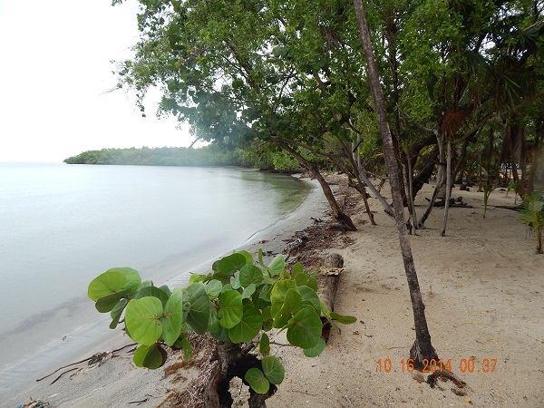 Neighbor's beach front 
