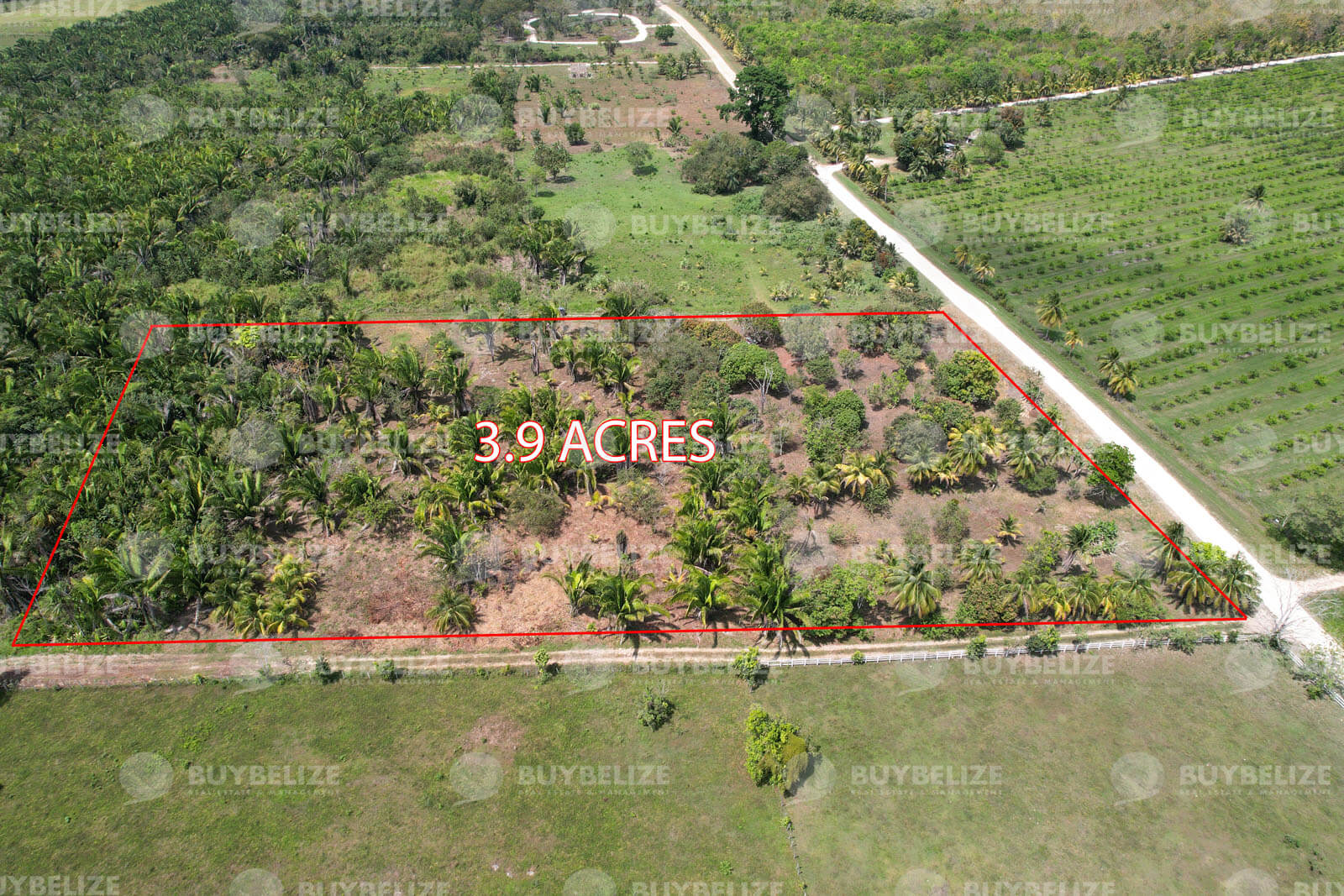 3.9 Acres of Fertile Agricultural Farmland for Sale in Teakettle