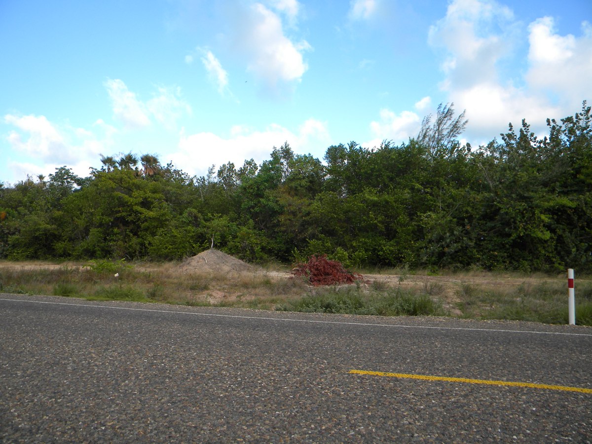 View of property from Placencia Road