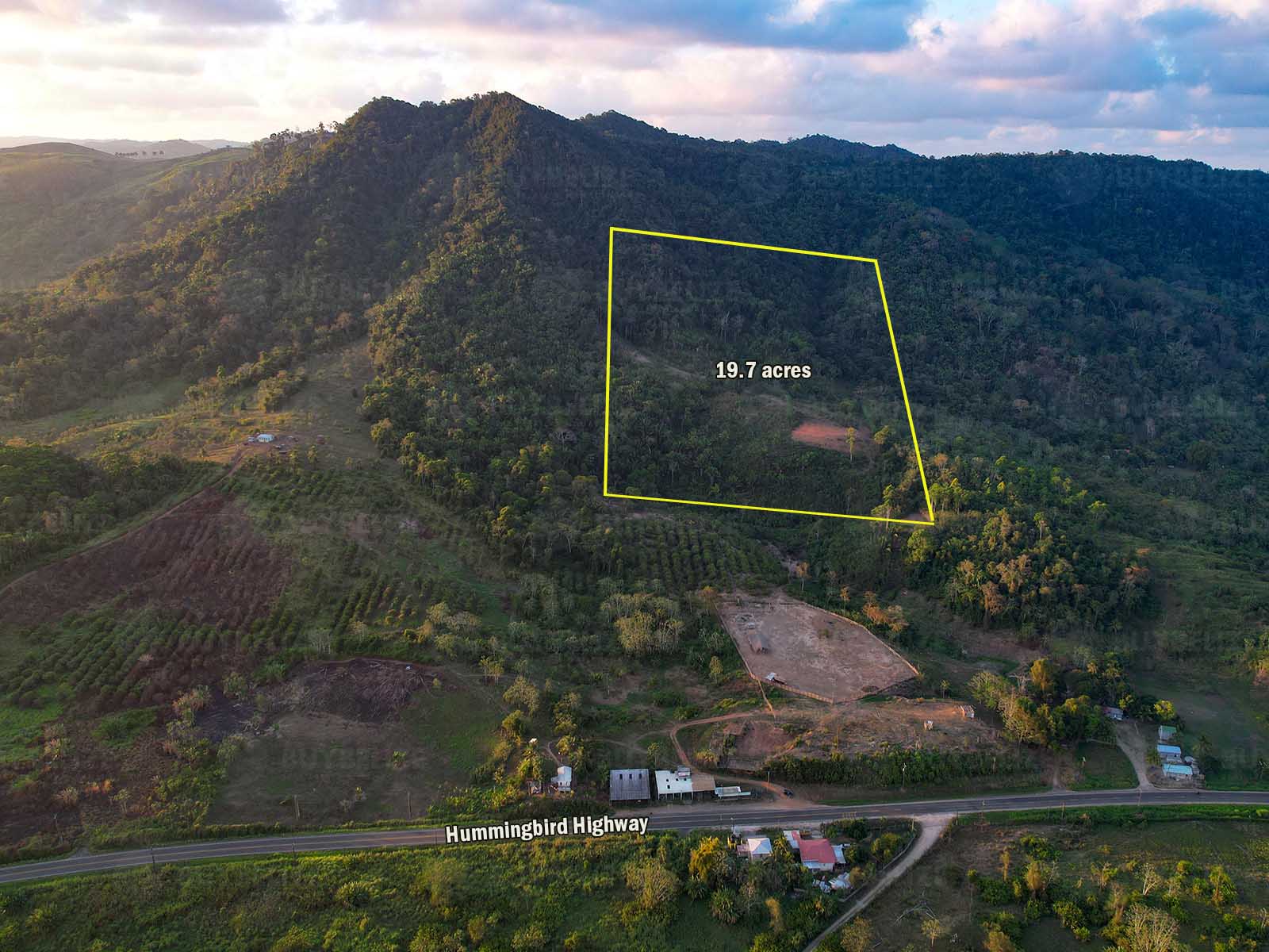 19.7 Acres of land with fruit trees in Alta Vista Area